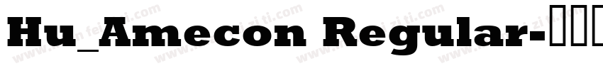 Hu_Amecon Regular字体转换